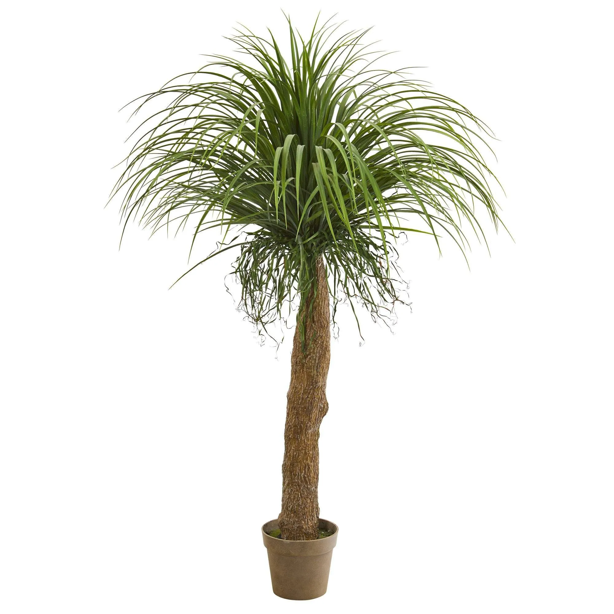 5’ Molina Artificial Plant