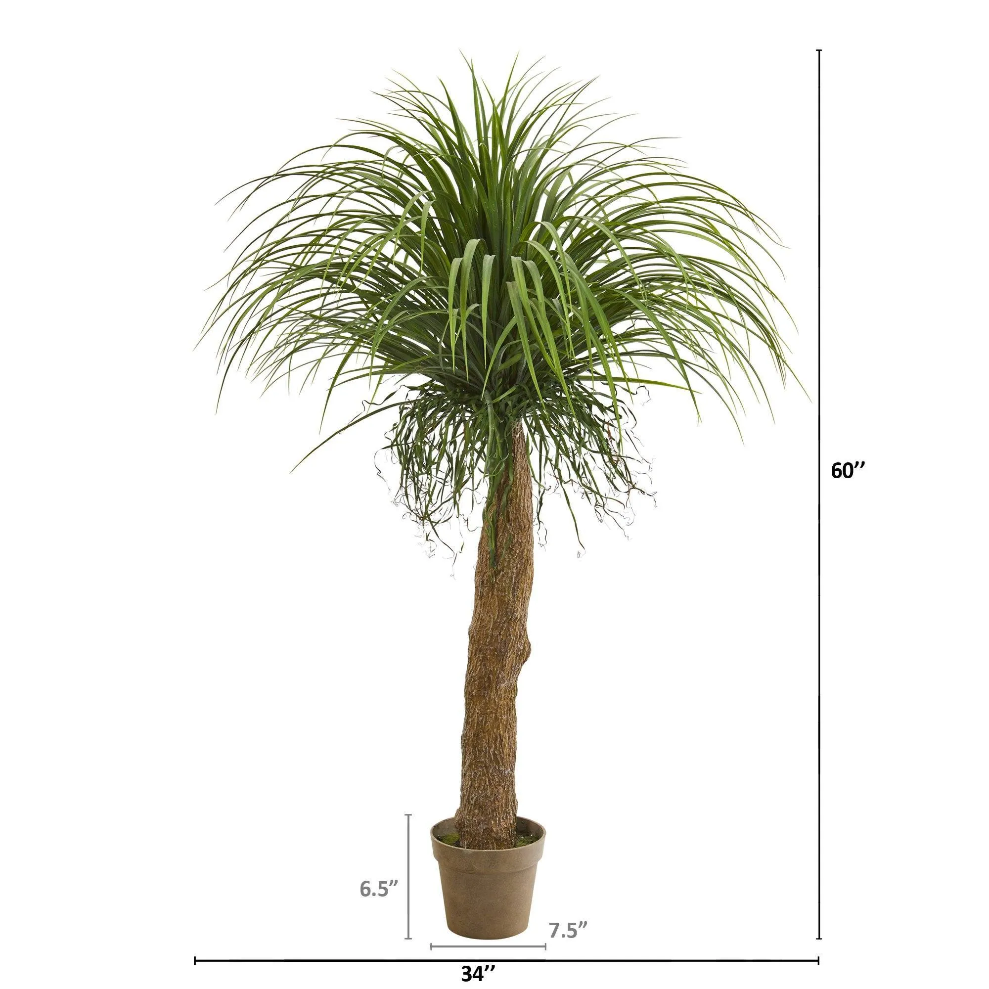 5’ Molina Artificial Plant