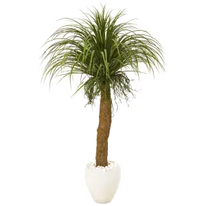 5’ Pony Tail Palm Artificial Plant in White Planter