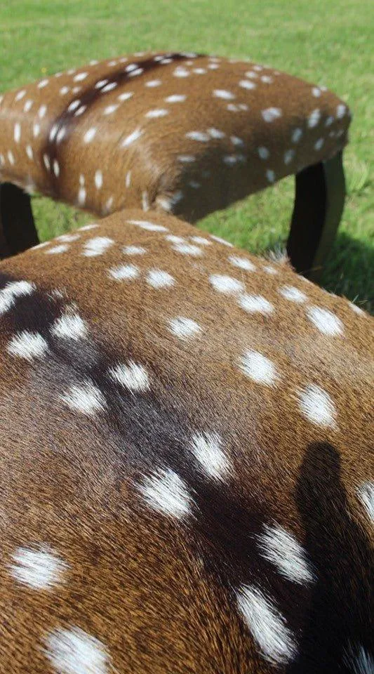 Axis Deer Hide Upholstered Bar Stool