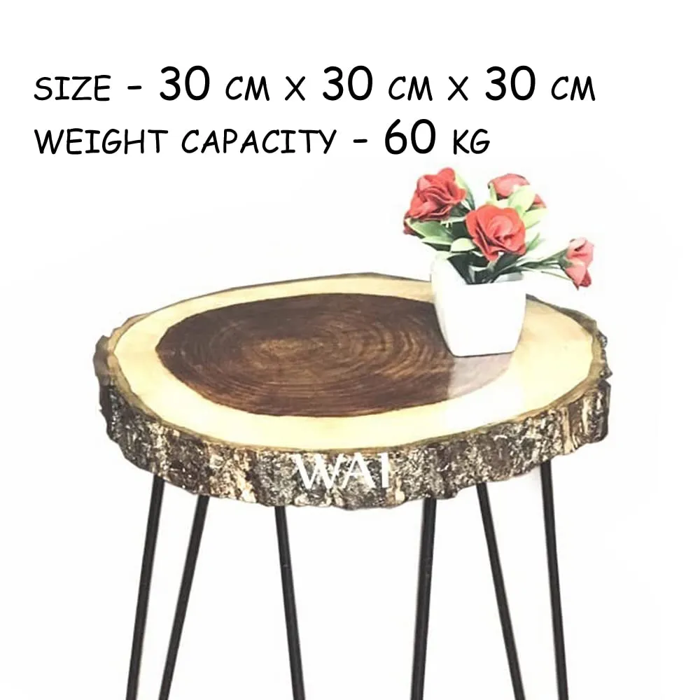 LATEST HANDICRAFTS Sheesham Wood Slab Beautiful End Table | Small Coffee Table | Side Table Plant & lamp Stand | Balcony Table | Indoor and Outdoor Stool with bark (30 x 30 x 33 cm)