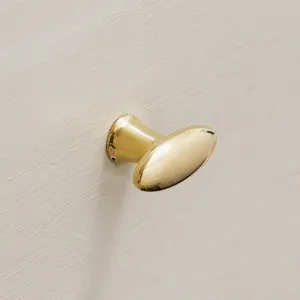 Polished Brass Zeppelin Cabinet Knob